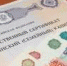 Сокращены сроки предоставления средств материнского капитала - Пенсионный фонд