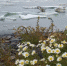 В пятницу в округе будет облачно - ИА Чукотка