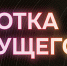 На форум «Чукотка будущего» в Анадырь приедут известные бизнесмены и блогеры, в том числе Артемий Лебедев - Газета Крайний Север