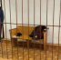 Вступил в законную силу приговор суда в отношении жителя окружной столицы, признанного виновным в покушении на убийство, вымогательстве и мошенничестве - Следственный комитет