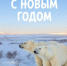 На Чукотке стартовал конкурс на лучшую новогоднюю открытку - Администрация Чукотского автономного округа